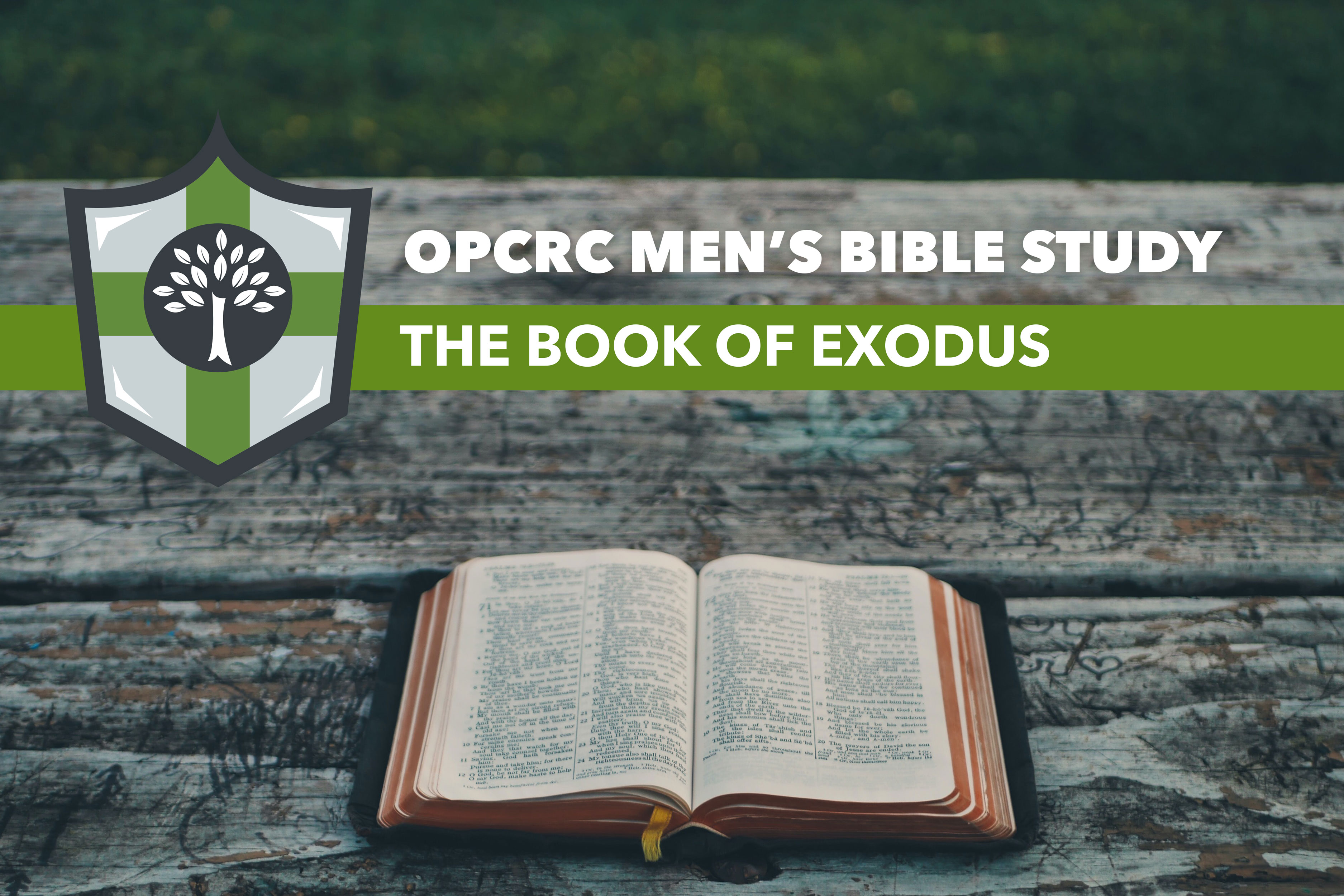 Men's Bible Study