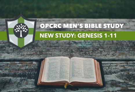 Men's Bible Study: Genesis