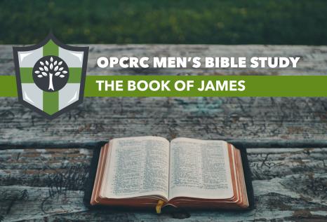 Men's Bible Study